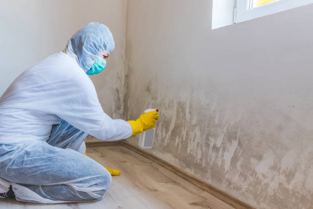 Mold Remediation specialist working in Nederland