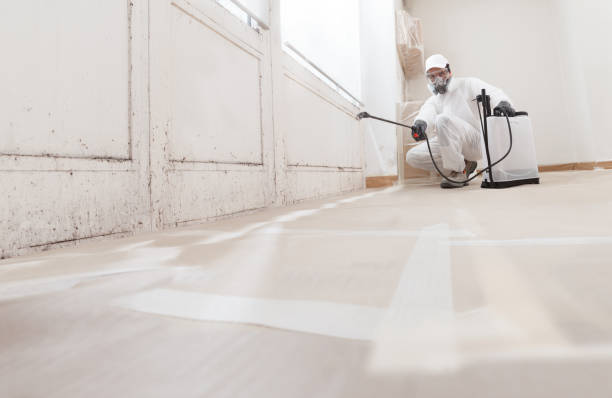 Post-remediation clearance in Nederland